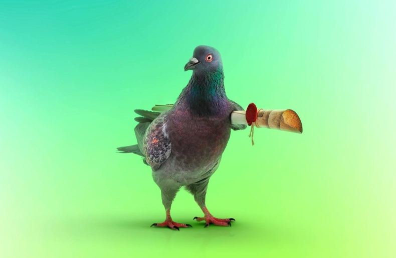 Telegram和Signal哪個更安全？